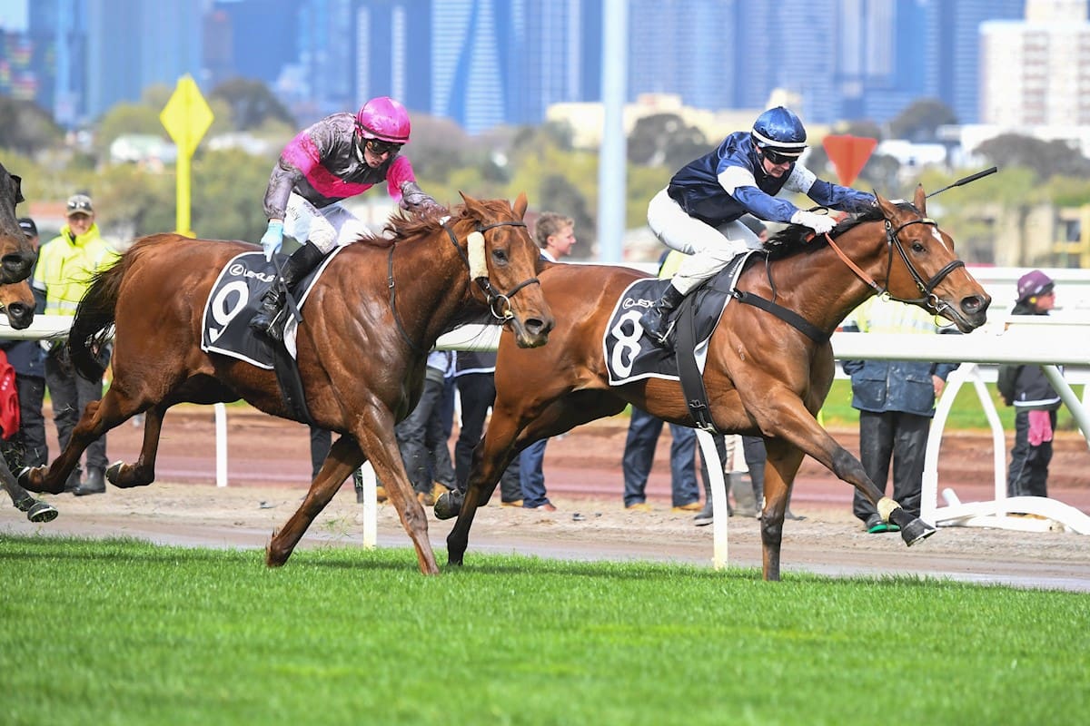 Point King will be ridden by Jamie Kah in the Melbourne Cup
