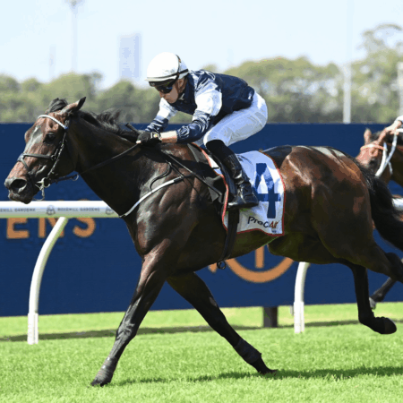 Williams’ Melbourne Cup hopes set for Flemington debut