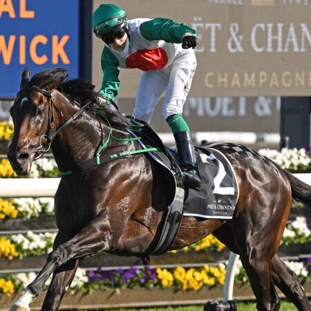 Profondo headed to the paddock after failed two-run campaign