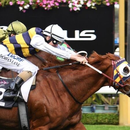 Gallic Chieftain after revenge in St Leger