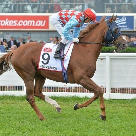Nervous wait for Cup raider Red Verdon