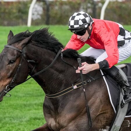 Revelare books Melbourne Cup berth with Archer Stakes win