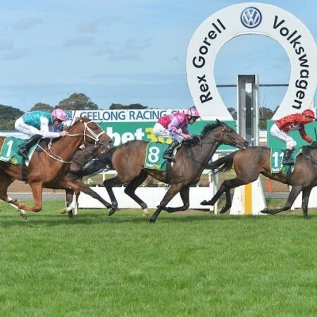 Geelong Cup wash up: three biggest takeaways