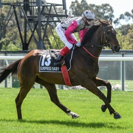 Sandown Surprise With No Baby In Zipping