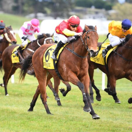 Baker-Forsman pair tackle 3YO feature