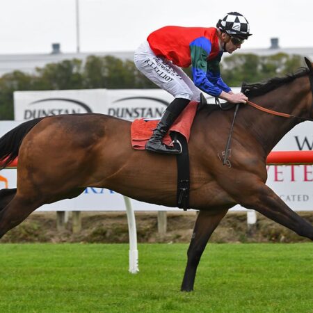 Kiwi stayers set for Melbourne Cup audition at Moonee Valley