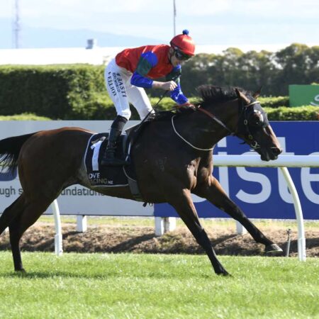 Sharp ‘N’ Smart set for another Melbourne Cup tilt