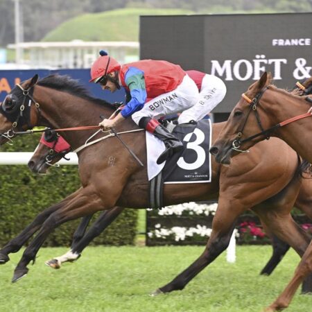 Powerhouse Sharp ‘N’ Smart ready to rumble at Trentham