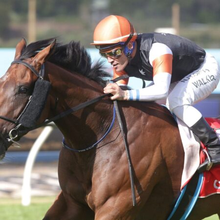 Pike’s Australian hopefuls on show at Hastings