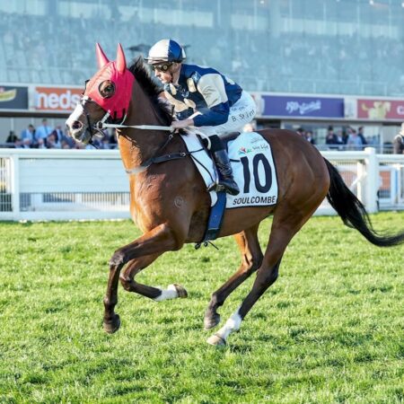 Soulcombe set for light autumn campaign