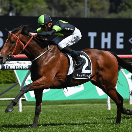 Stockman Melbourne Cup bound following St Leger win