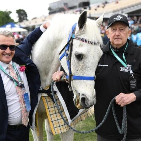 Melbourne Cup winner Subzero dead at 32