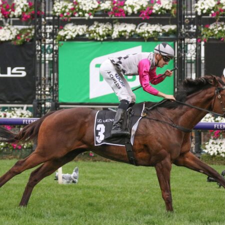 Rich Hill graduates chasing feature prizes