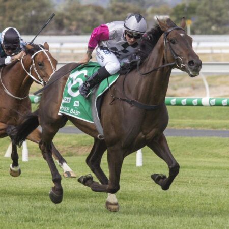 Second Cup win for breeder would be nice surprise