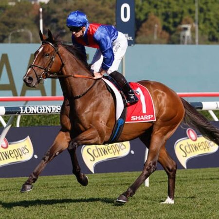 Group 1 stars set to step out at Rosehill trials on Friday