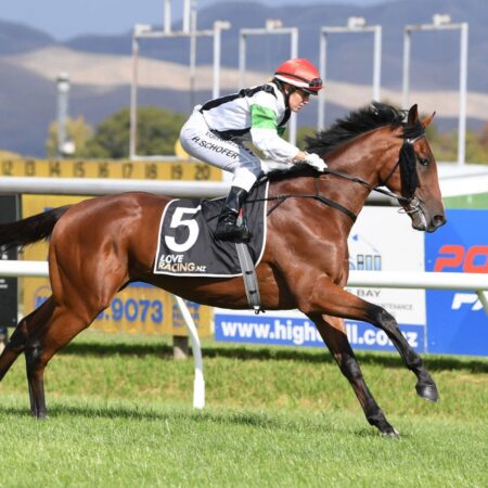 Derby campaign commences for Tutukaka