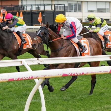 The Chosen One on target for third Caulfield Cup tilt