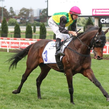 The Chosen One ready for famous Flemington two-miler