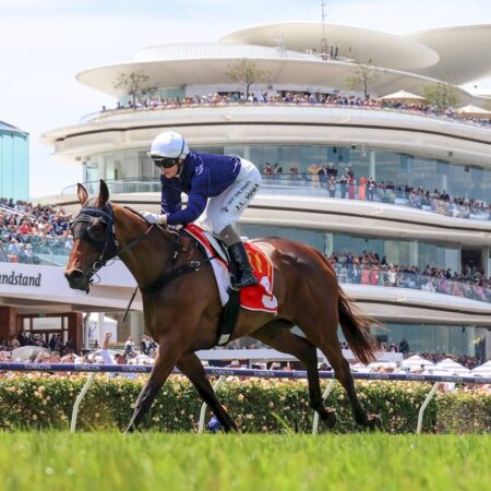 The Map destroys rivals in Morphettville Group 3