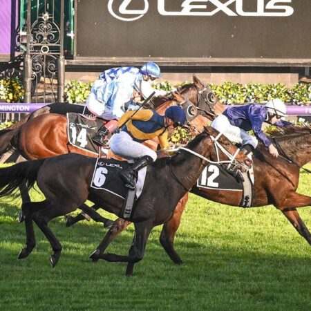 The Map secures golden ticket into 2024 Melbourne Cup