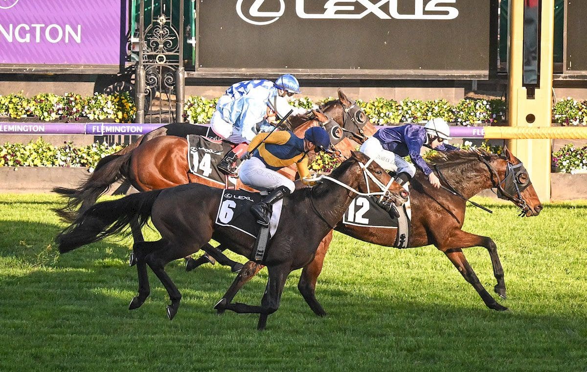 The Map wins the Andrew Ramsden