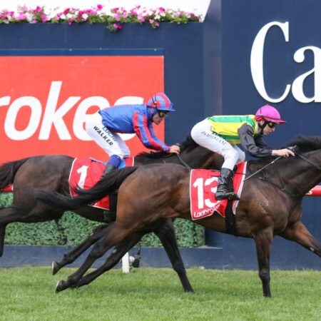 Gear change for Kiwi Cup hope