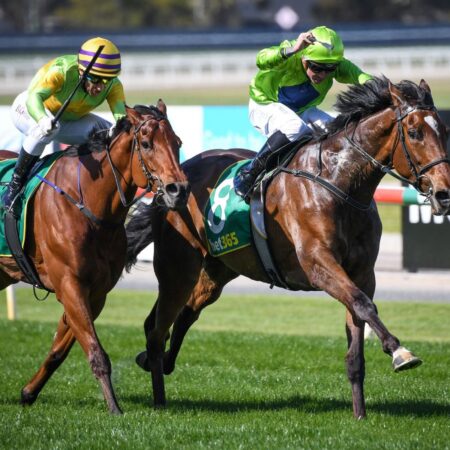 Cup start guaranteed following Geelong victory