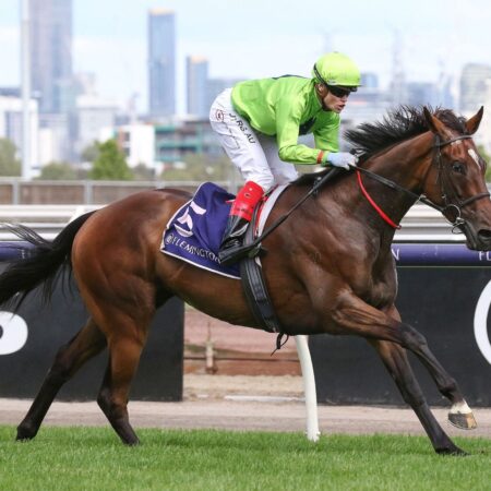 Heatherlie Stakes first-up for Tralee Rose