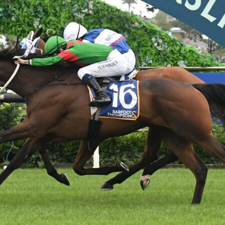 Jockey excited for Melbourne Cup chance after surprise call