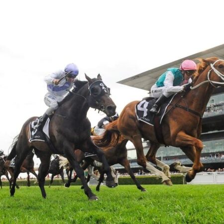 Waller with two chances in Group 1 Turnbull