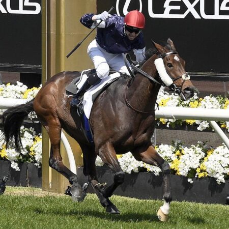 Who are the top international runners in the 2021 Melbourne Cup?