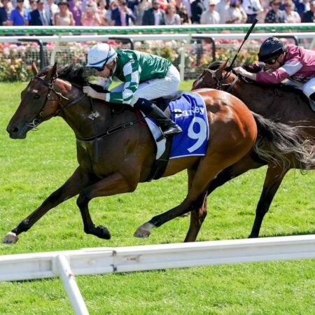 Tycoon Star causes upset in Maribyrnong Plate