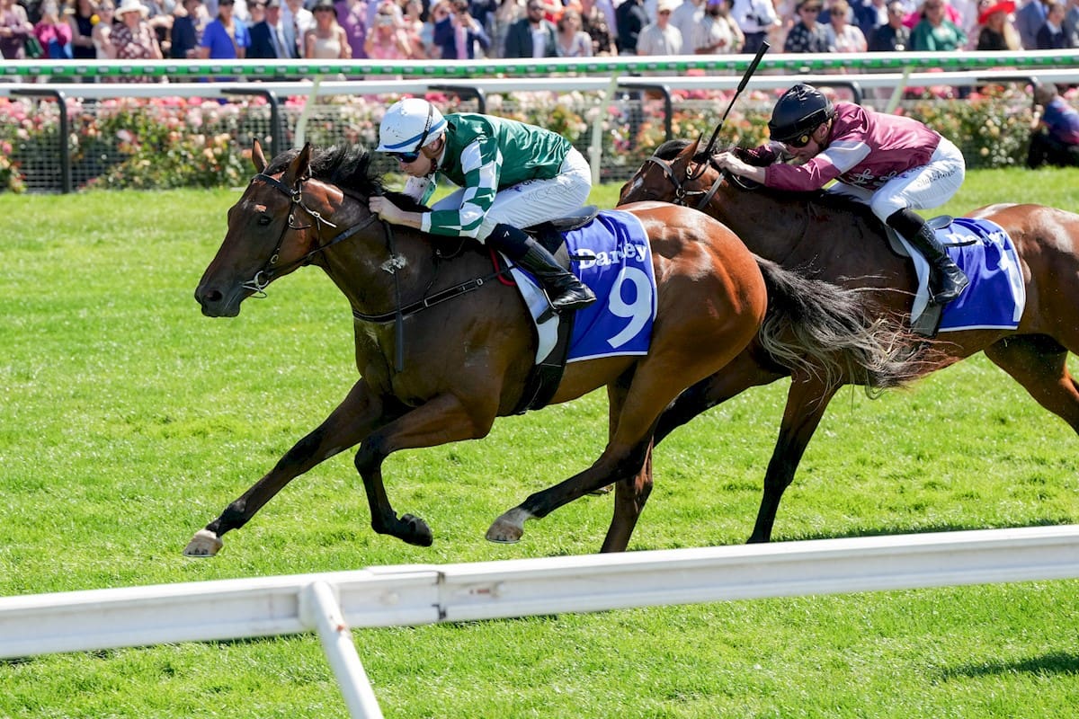 Tycoon Star wins Maribyrnong Plate