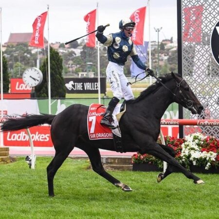 International runners to wait and see for 2021 Spring Carnival
