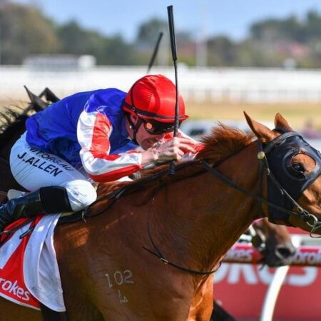 Skelm starts his Cups tilt at The Valley