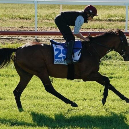 Downdraft makes Aussie debut at The Valley
