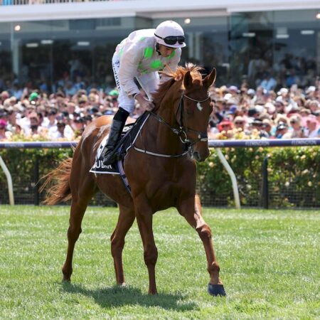 Mullins warns Melbourne Cup hopeful Vauban fitter than last year