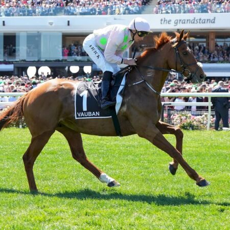 Vauban to remain in Australia, Waterhouse & Bott to train