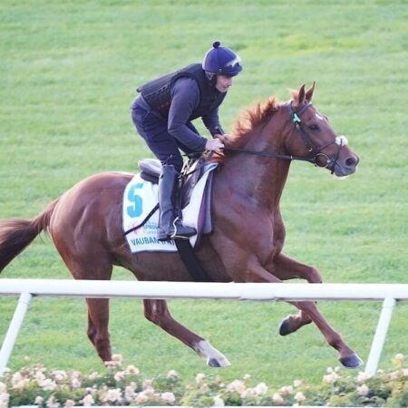 Melbourne Cup odds fluctuate as Vauban drifts in betting