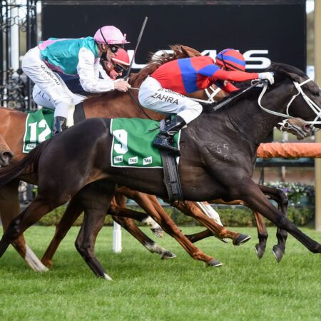 Bishara verry excited as Melbourne Cup looms