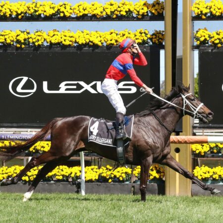 Champion racemare Verry Elleegant for Hall of Fame