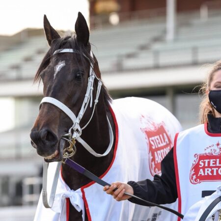 Zed’s Verry Elleegant a testament to breeder’s faith