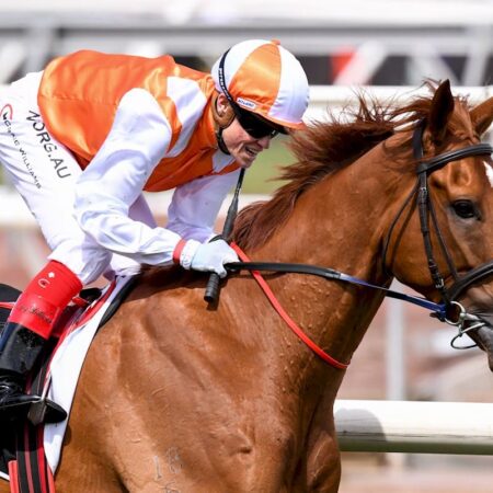 Melbourne Cup winner Vow And Declare retired