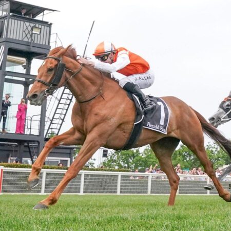 What Australian horses are running in the 2024 Melbourne Cup?