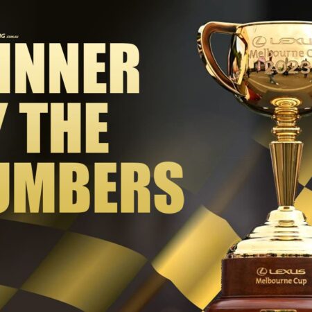 The 2023 Melbourne Cup winner by the numbers
