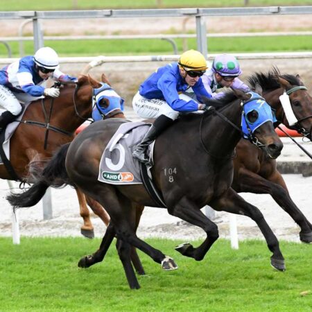 Wolfgang’s Melbourne Cup bid over after Bart Cummings downer