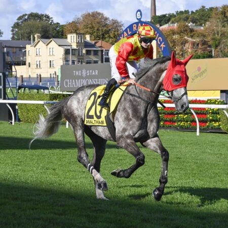Matthew Smith eyeing Melbourne Cup with Waltham