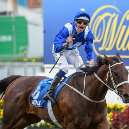 Could Winx have won the Melbourne Cup?