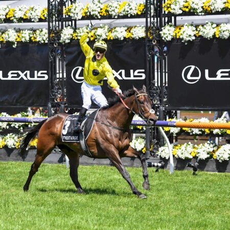 How many times has Barrier 16 won the Melbourne Cup?