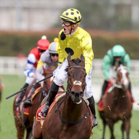 Freedman says Without A Fight best hope since Lucas Cranach